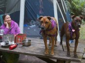 Sandee (the one NOT on the table), Bonnie Mae and Olivia are all vegan! Plus vegan husband (papa) Nat is taking the photo!